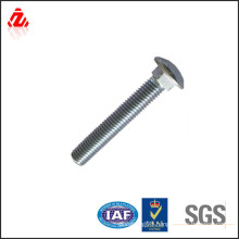 Stainless steel Round head carriage bolt